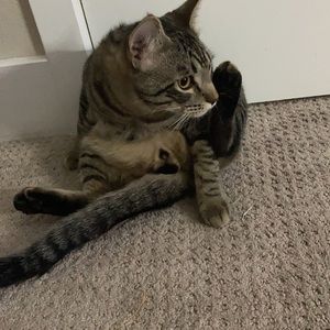 Meet your Posher, Luke